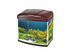 �������� � �������+���������+������� ����������(TOP filter)+����� �����-���