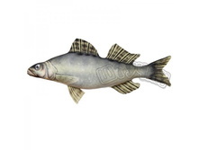 57-045 15���48��� ����� ������ ���� ������� ����������.jpg