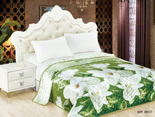 ���������� ��������������: R017