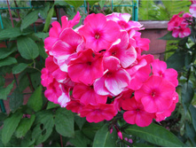 ����� ��������� � �����