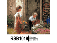 RSB1019 28-2551 副本0002-500x500.png