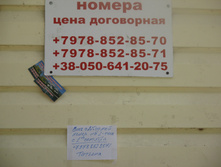 IMG 3396.JPG