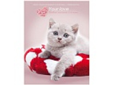 ������� 5-11 ��. 48�. (�������) ������� �� �������, ̣�, ��������� �����, �����, ������� ��������� 92,39.jpg