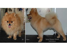 Em9vZ3J1bWluZy5ydQ==!2014-05-45529 00.jpg