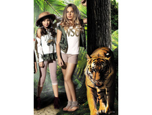 ���� ���������