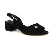 W2198-X01-9 00000045533.jpg