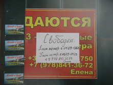IMG 3393.JPG