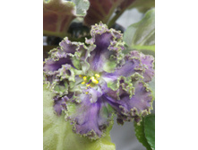 IMG 20161214 215334.jpg