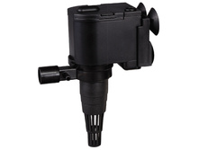 ����� �������