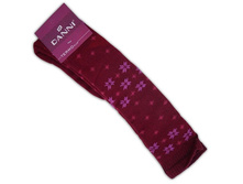 ������ DANNI ������