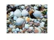 ������ ��� ������ 50-80��, ����������, �������� ������ ������� , ���.481, ����� ��� 280,5.jpg