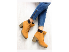 Denley KB c153-a 1494 ��� �-�� 36-41.jpg