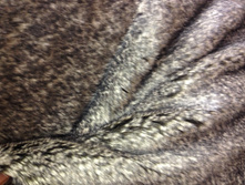 ������� �������� 3.jpeg