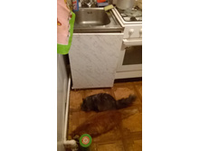 WP 20170109 19 28 37 Pro.jpg