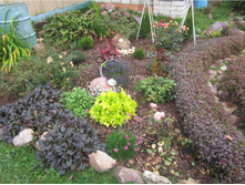 ������� ��������