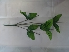 20-1820 ���� ��� ������, 7 �����, 5 ������� �����, L 42 ��. 17�