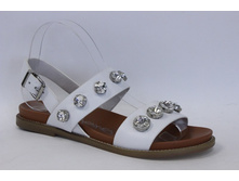 W2206-C10-1 00000043753.jpg