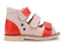 FT-26006.17-OL35O.02