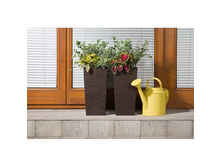 ������� �����