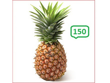 ������ 1 �� ���� 150�