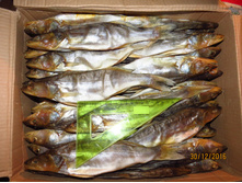 ����� ���� 280�/�� � 1�� �������� 8����.