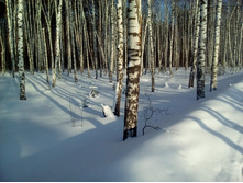 IMG 20170129 134758.jpg