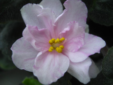 �� ������������ ����� (������ ��������)