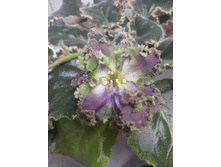 IMG 20170105 160241.jpg