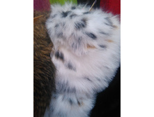 IMG 20170127 144145.jpg