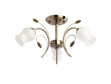 256018103 2350�.jpg