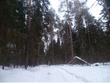 ��� �� �����