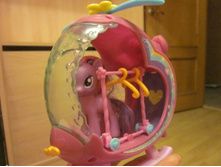 ����� IMG 6393.JPG