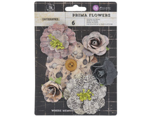 � ������ 6 �������. ������������� Prima, Cartographer,