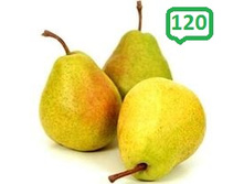 ����� ����� 1 �� 120 ��