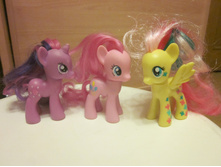 ����� IMG 6395.JPG