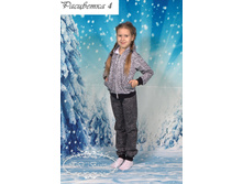 3/14-3070� ������ ���������� ��� �������