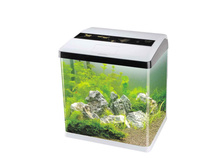 �������� � �������+���������+������� ����������(TOP filter)+����� �����-��� ����� (60�)