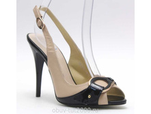 ��������� BAROCO �������: 1243-931-1 ����� 1200�