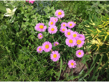 ����� ���������� �������