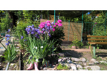 WP 20160604 14 42 55 Pro.jpg
