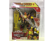 �����������.2003-6. 917�