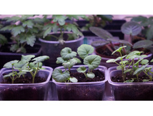 ����������