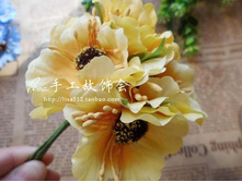 ����� �������� ����� 5��