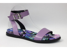 W2206-C12-2 00000043783.jpg