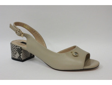 W2198-X01-2 00000044633.jpg