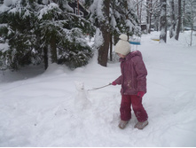 ������ ���������