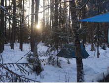 2017-01-04 14.34.54 cr.jpg