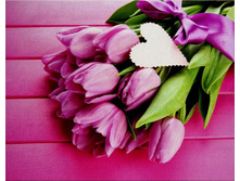 ����������� �� �������� - 48 �� 38�� - 1285 ���.+%