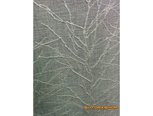 ��� ����� 2.jpg