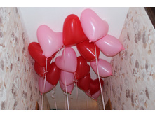 ���� ������